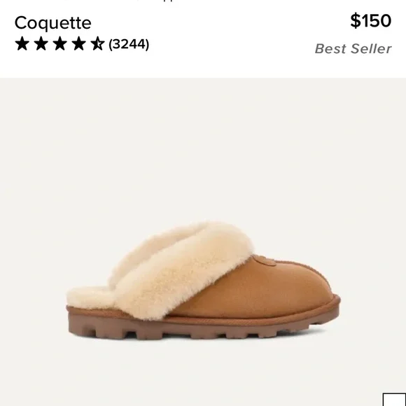 UGG Slipper - Picture 1 of 1